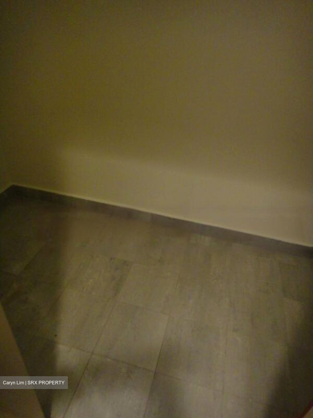 Cairnhill Crest (D9), Condominium #482280591